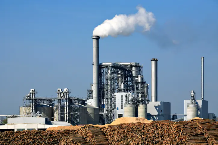Paper and Pulp