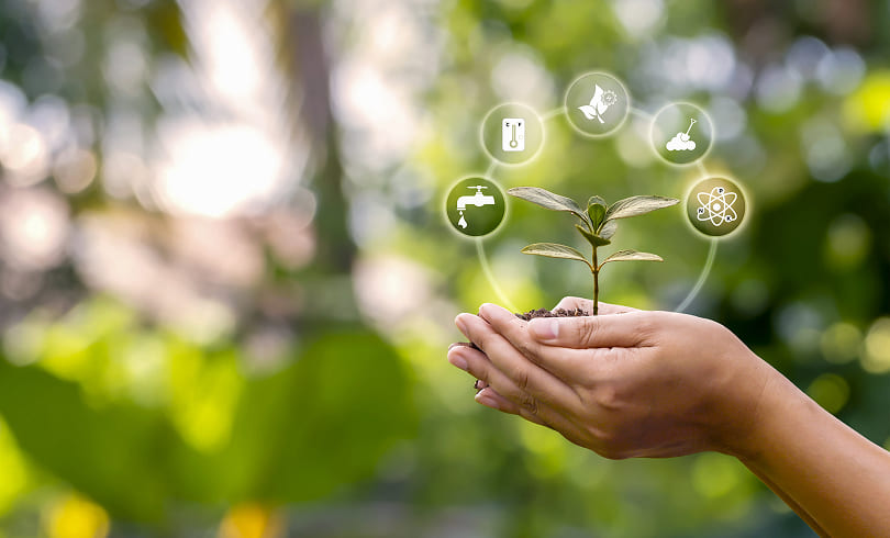 Sustainability